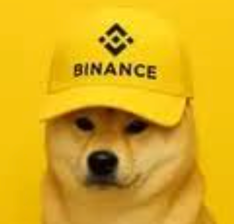 Binance Inu avatar